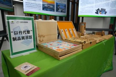 废旧电子产品变废为宝，雄安首场回收活动引领绿色新风尚